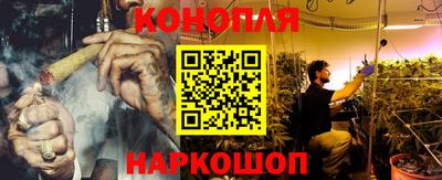индика Будённовск