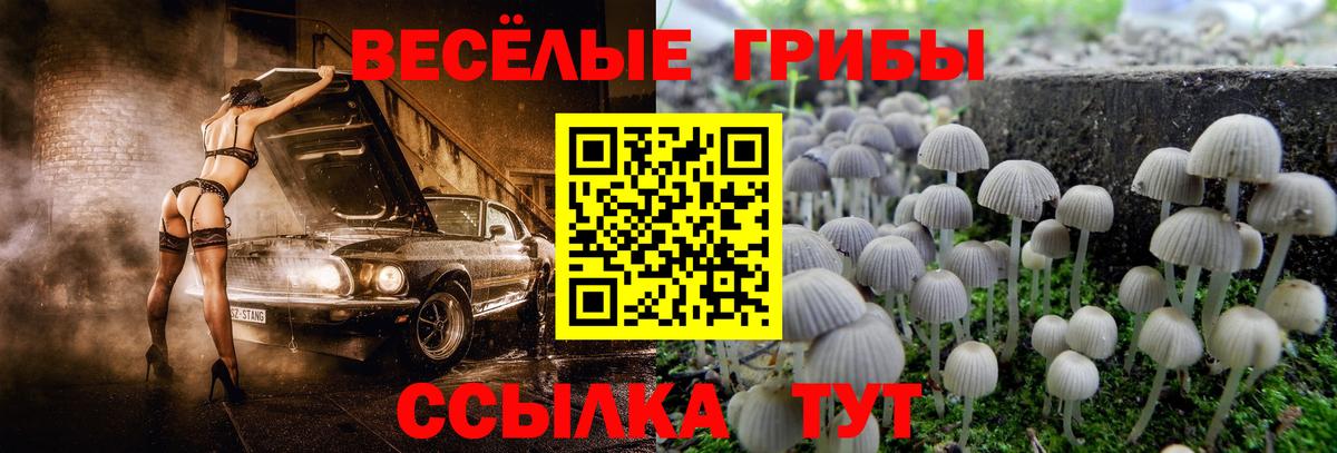 Галлюциногенные грибы MAGIC MUSHROOMS  Вход с VPN  Лесной  Галлюциногенные грибы Magic Shrooms 